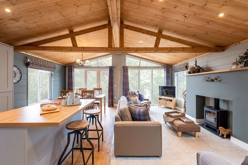 New Luxury Lodge For Sale The Forester Hentervene Holiday Park